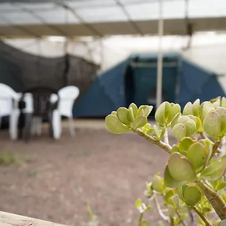 Πάρκο διακοπών Agrocamping Invernaderito *