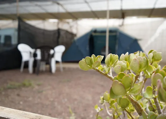 Tatil parkı Agrocamping Invernaderito *