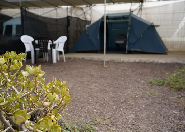 Tatil parkı Agrocamping Invernaderito Tejina
