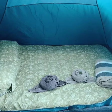 Agrocamping Invernaderito * Tejina