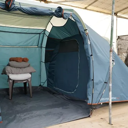 Agrocamping Invernaderito *