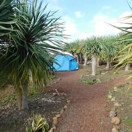 Agrocamping Invernaderito *