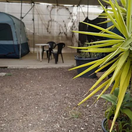 Agrocamping Invernaderito * テヒーナ