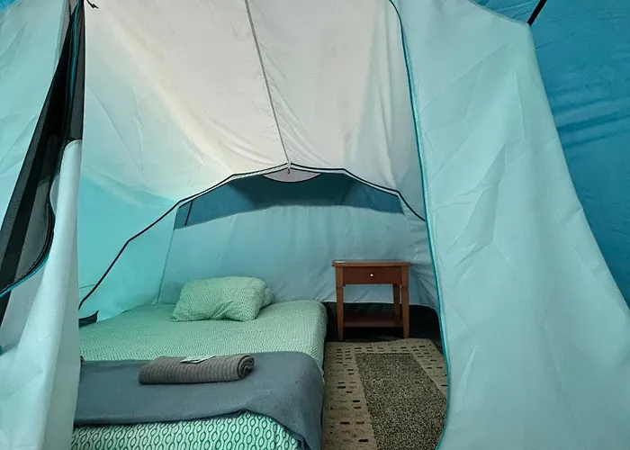 Agrocamping Invernaderito