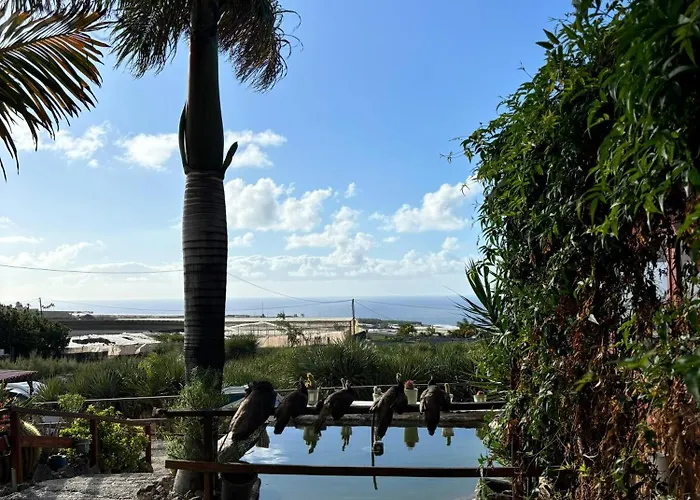 Agrocamping Invernaderito