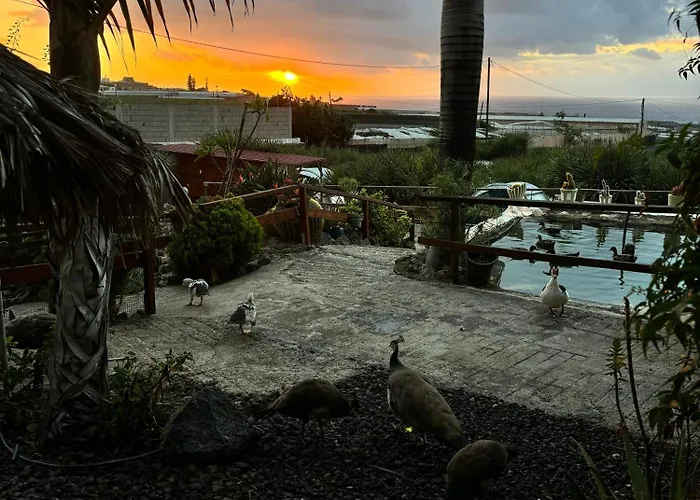 Κάμπινγκ Agrocamping Invernaderito *