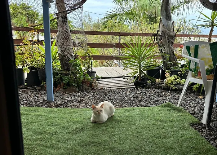 Agrocamping Invernaderito Κάμπινγκ