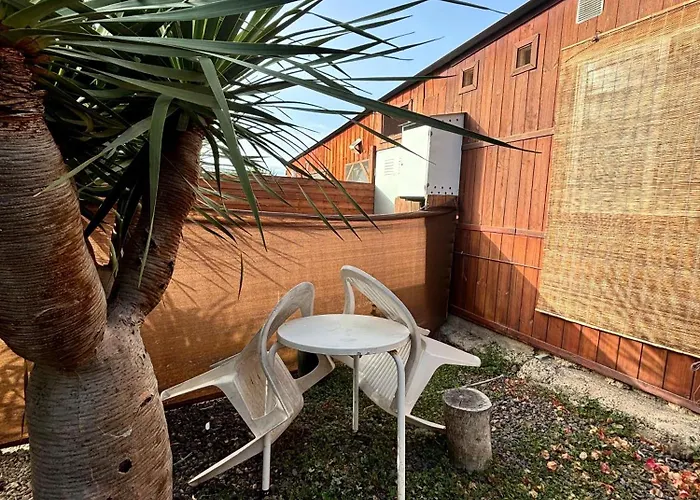 Κάμπινγκ Agrocamping Invernaderito *