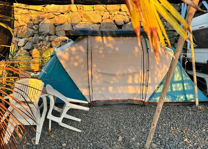 Agrocamping Invernaderito